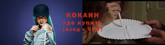 индика Зерноград
