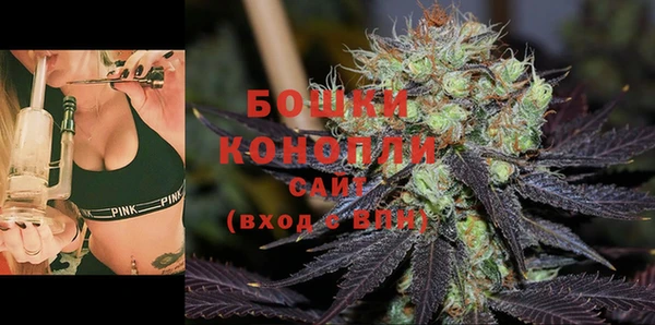 индика Зерноград