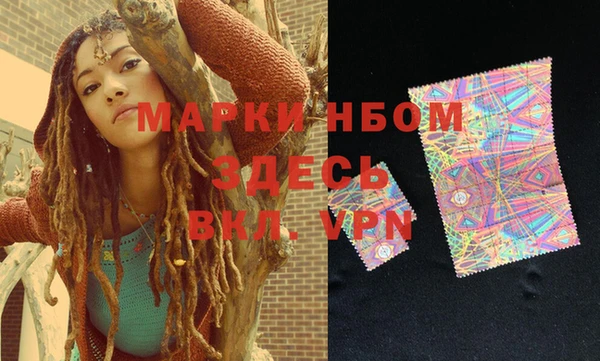 индика Зерноград