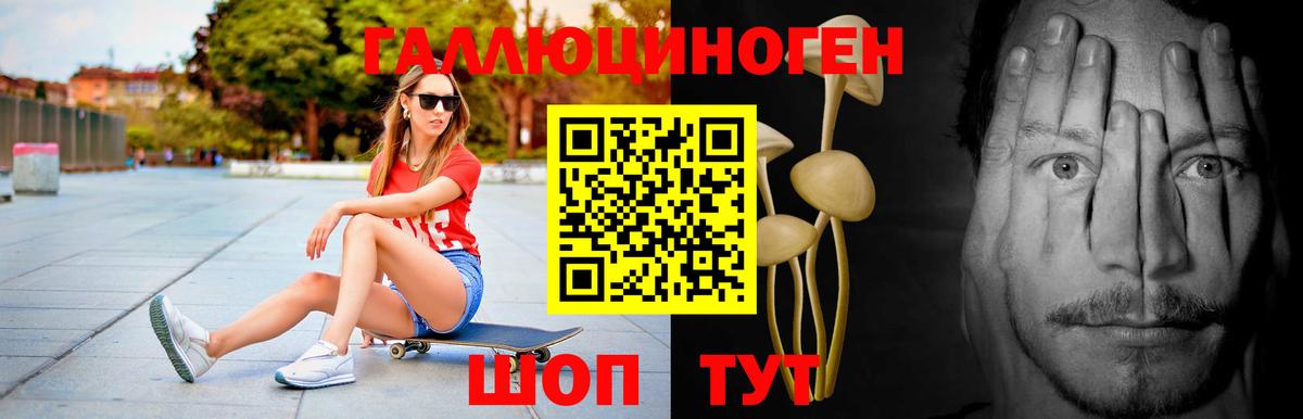 где продают   Псилоцибиновые грибы GOLDEN TEACHER  Вход с VPN  Галлюциногенные грибы Cubensis  Соль-Илецк 